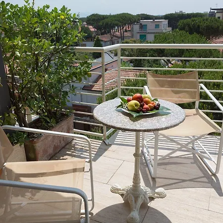 Bacco לידו די קאמאיורה