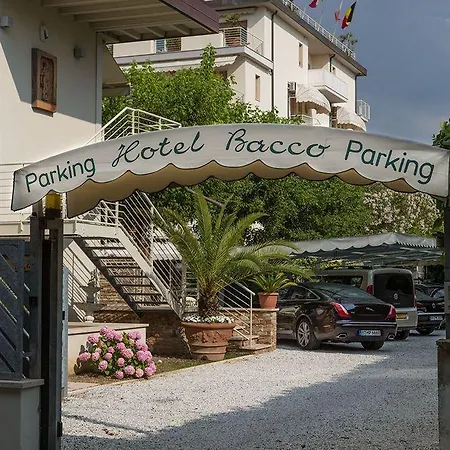 Bacco Hotel Lido di Camaiore
