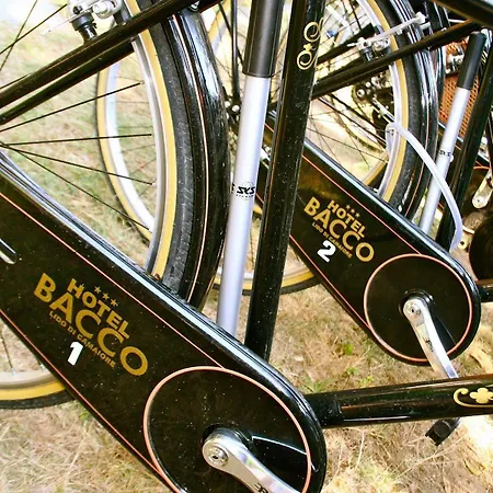 Bacco